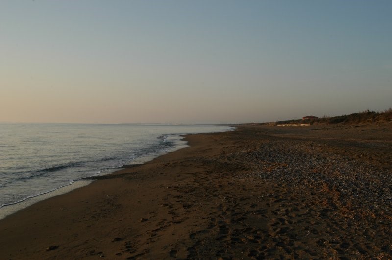 MARE BIBBONA